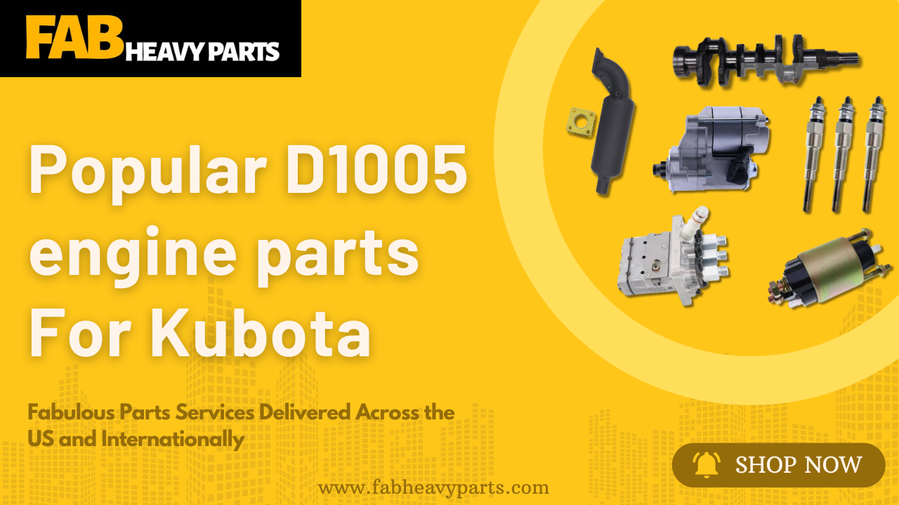 Popular D1005 engine parts For Kubota