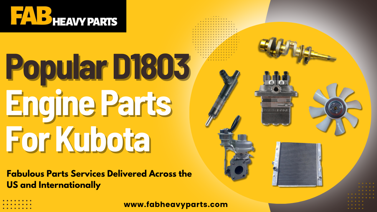 Popular D1803 Engine Parts For Kubota