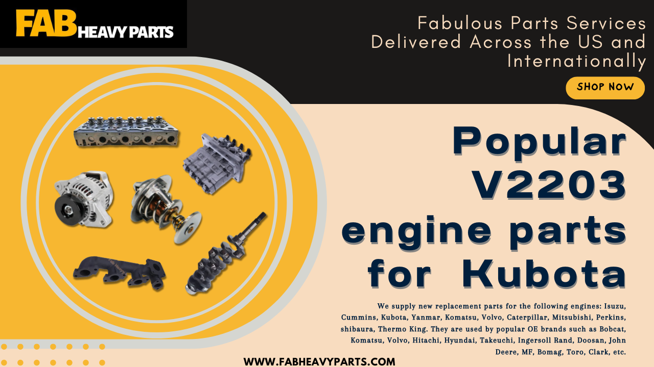 Popular V2203 engine parts for Kubota