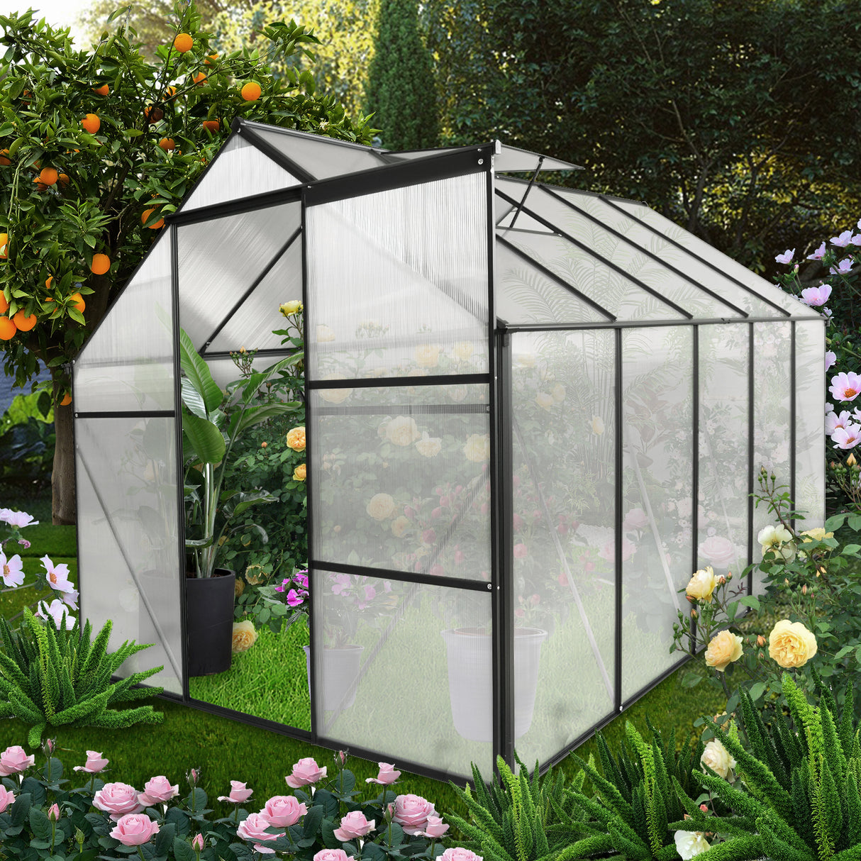 6 x 10 Fuß großes Polycarbonat-Gewächshaus mit erhöhtem Sockel und Anker, robustes begehbares Aluminium für den Garten im Freien, ganzjährig in Schwarz erhältlich