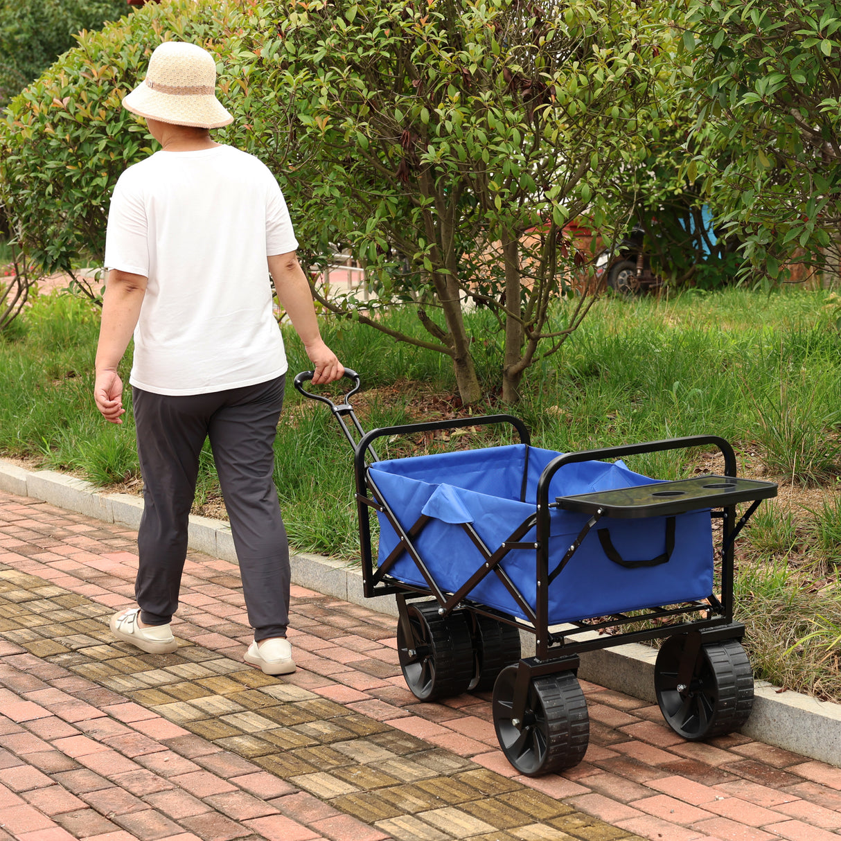 Vouwwagen Tuinwinkel Strandwagen Blauw Metaal