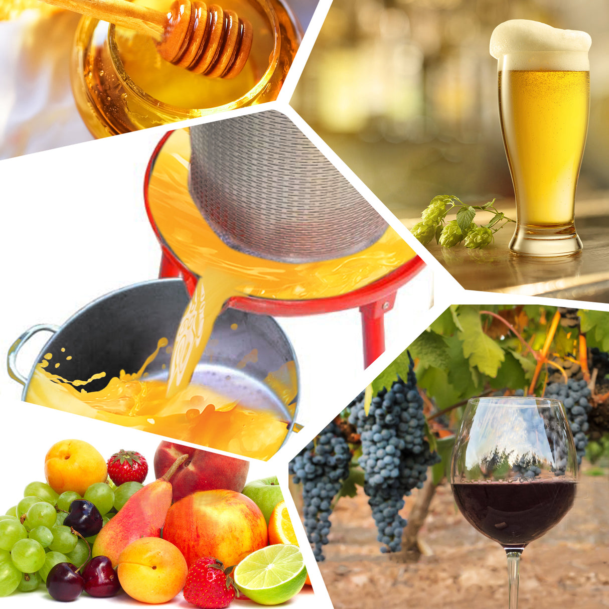 Hydraulic Fruit Wine Press with Fruit and Apple Crusher Electricity-Free/Water-powered Cider Wine Bladder Press