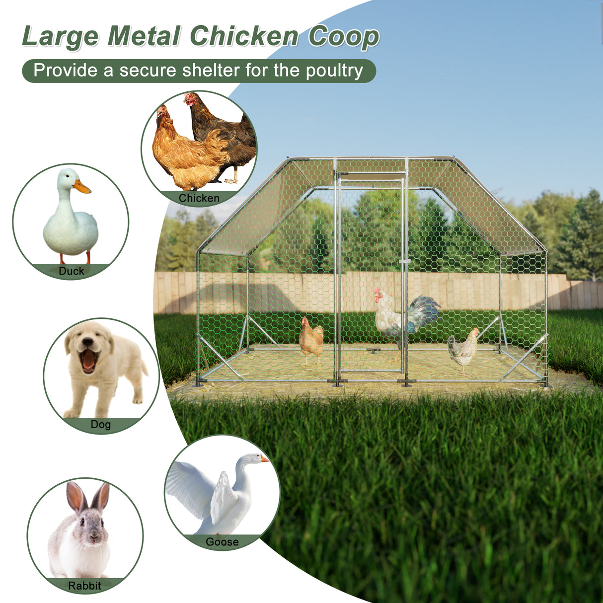 9.94'L x 6.46'W x 6.36'ft Metal Malaking Manok Walk-in Poultry Cage Run Flat Shaped na may Waterproof