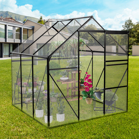 6X6FT Polycarbonat-Gewächshaus mit erhöhtem Sockel und Anker, robustes begehbares Aluminium für den Garten im Freien, ganzjährig in Schwarz erhältlich