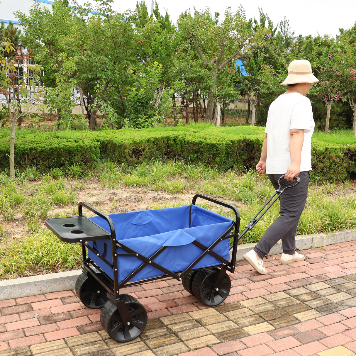 Carrello pieghevole da giardino per la spesa da spiaggia, in metallo blu