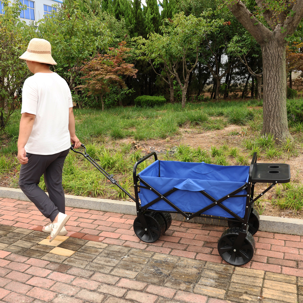 Carrito plegable para compras de jardín, carrito de playa, Metal azul