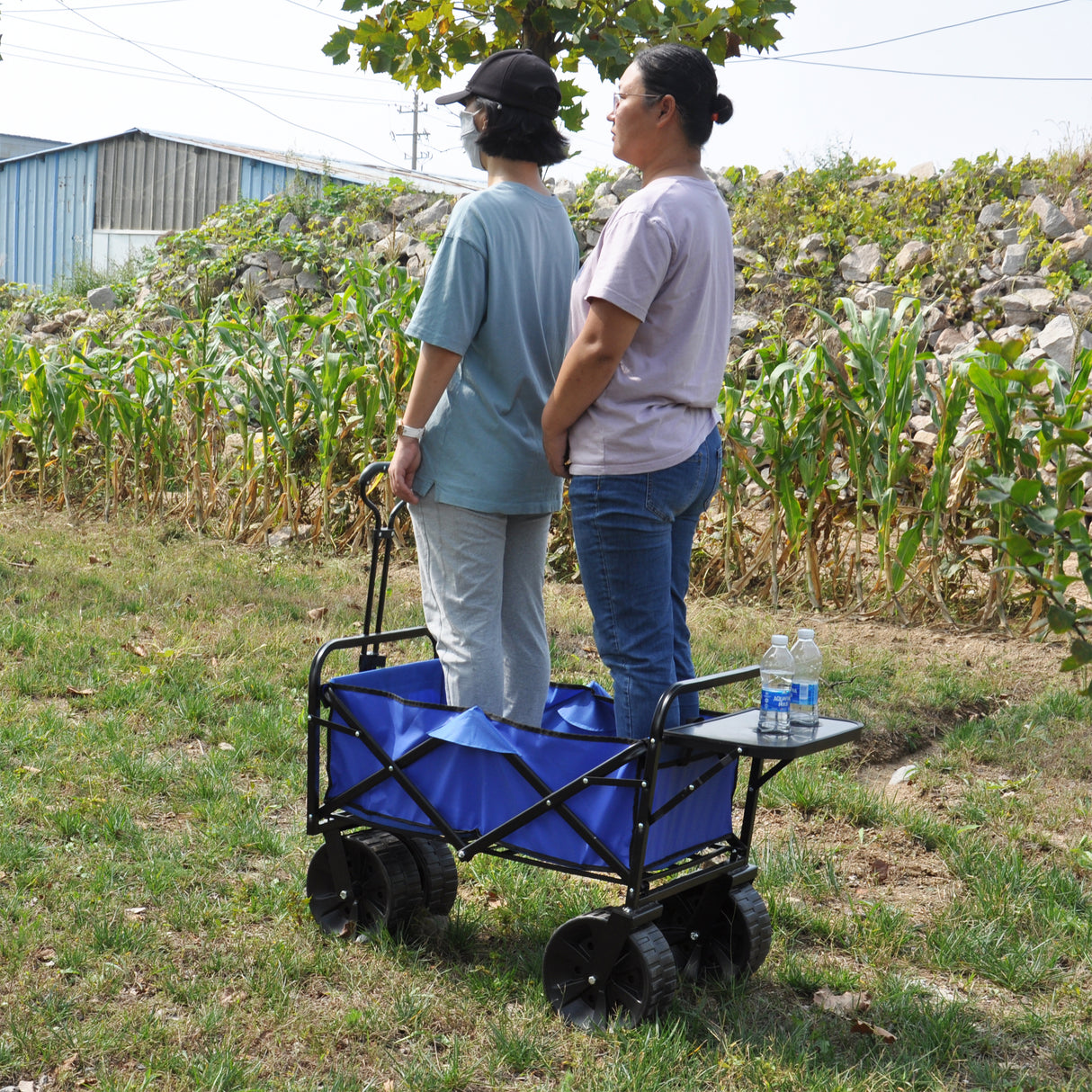 Carrito plegable para compras de jardín, carrito de playa, Metal azul