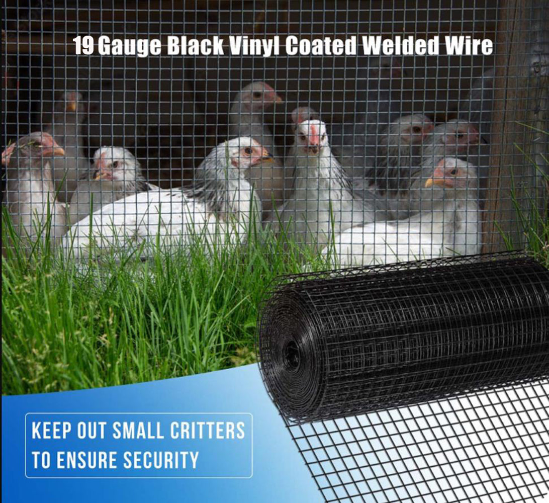 36 pouces × 50 pieds tissu de matériel enduit de vinyle noir calibre 19 1/4 pouces clôture en fil soudé en PVC prend en charge la cage à filet de volaille-amélioration de l'habitat et poulailler en acier