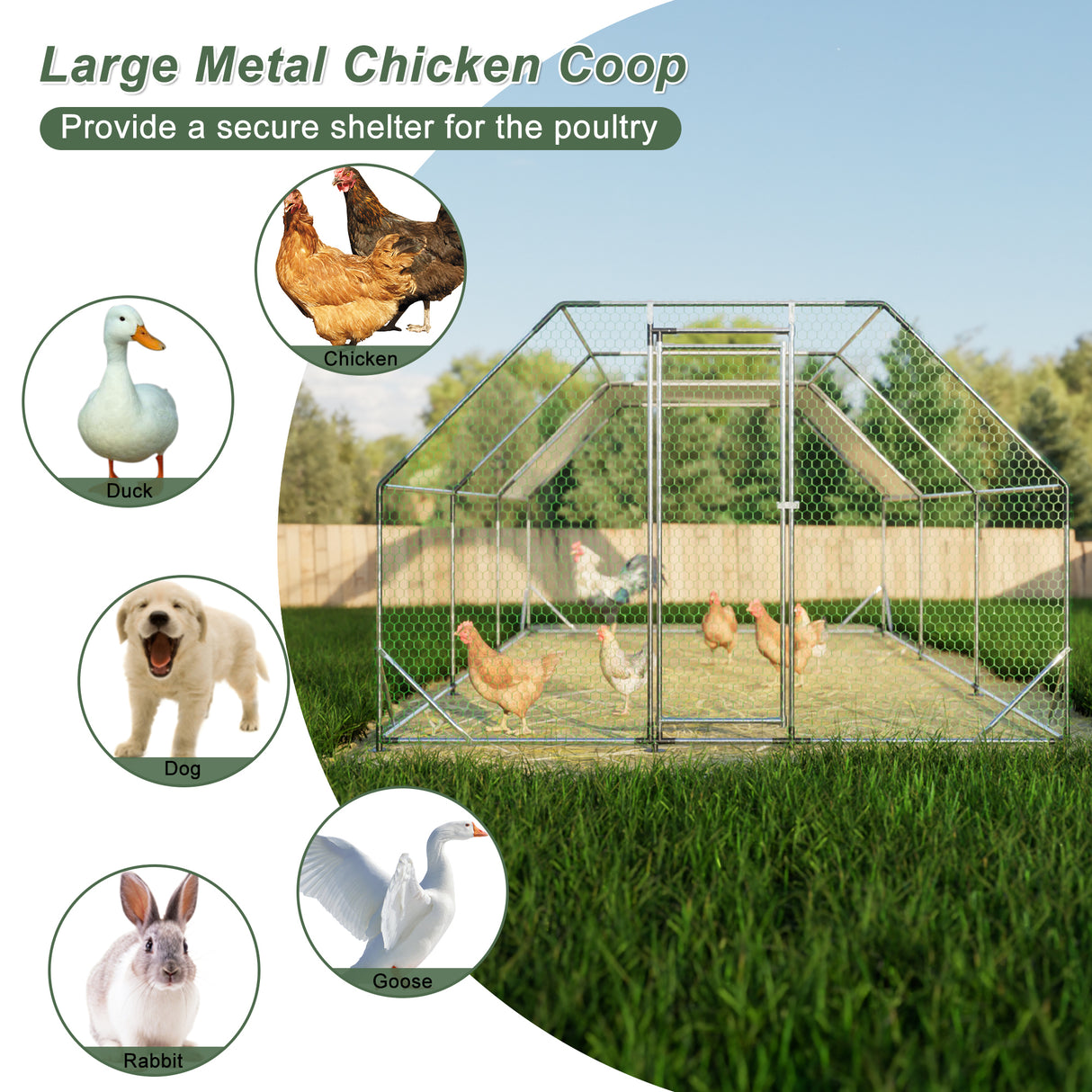 10 ft. x 20 ft. Galvanized Malaking Metal Walk sa Chicken Coop Cage Farm Poultry Run Hutch Hen House