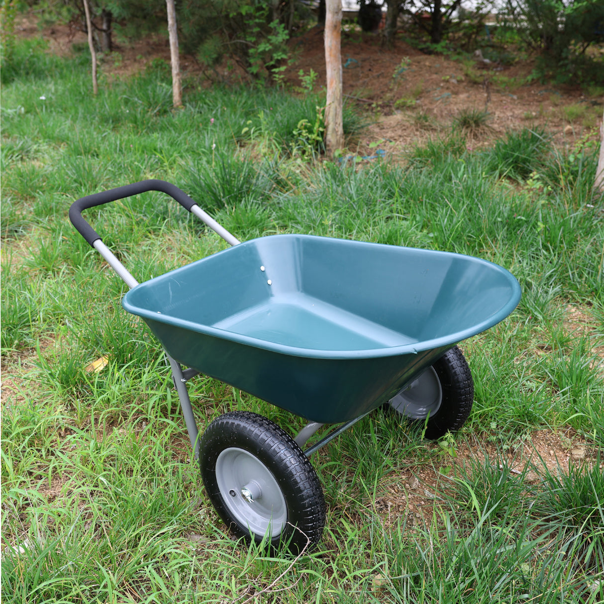 Brouette Chariot à deux roues pour jardin vert, capacité pneumatique de 15 pouces, 300 lb