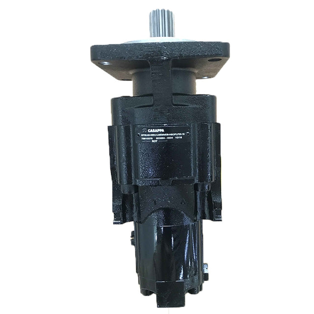 Hydraulic Pump 6111152M91 6111153M91 Angkop para sa Massey Ferguson Terex Backhoe Loader 820 860 960 965 TX730B