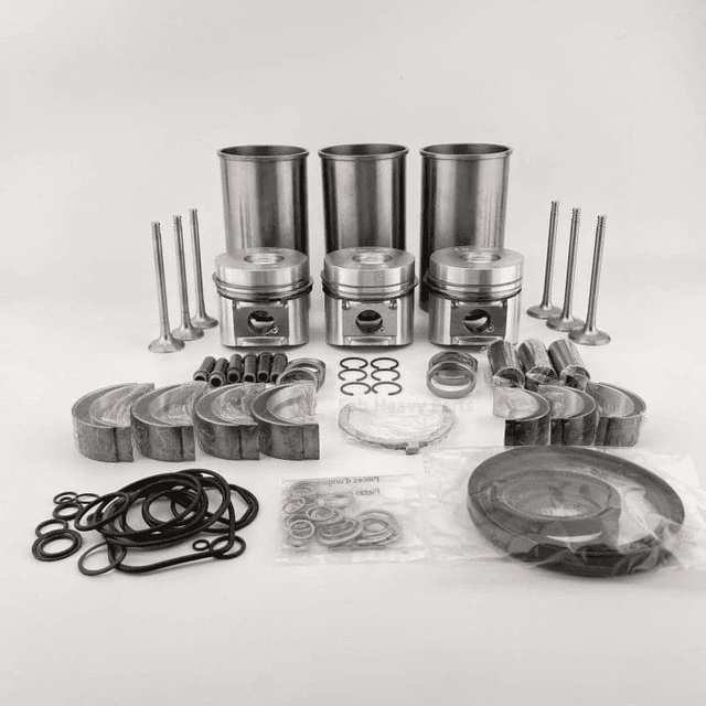 Overhaul Rebuild Kit para sa Deutz Engine F3L1011